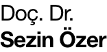 Doç. Dr. Sezin Özer
